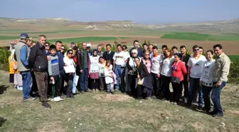 Gemerek'te 10 Bin Fidan Toprakla Buluştu