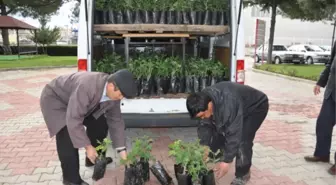 Oğuz; Isparta Gülü Topkapı Sarayını İhya Edecek