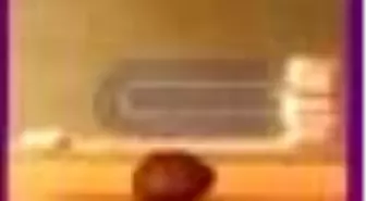 Kitap-lık Sayı: 112 Aylık Edebiyat Dergisi Kitabı