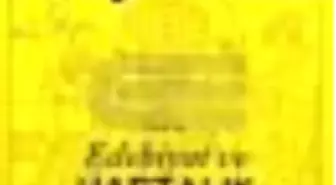 Kitap-lık Sayı: 61 Aylık Edebiyat Dergisi Kitabı