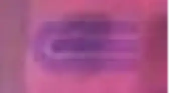 Toplu Şiirleri 1 1956 - 1976 Kitabı