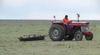 Yerköy'de Tohumla İşlemi Tamamlandı