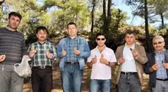 Kuzugöbeği Mantarı Gelir Kaynağı Oldu