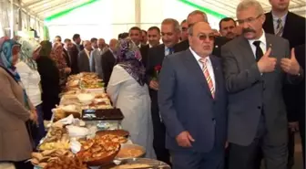 Osmaniye'de Kutlu Doğum Haftası Etkinlikleri