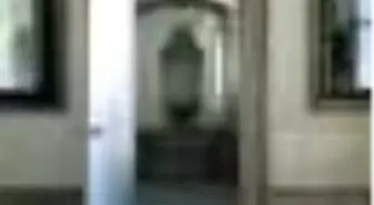 Cornucopia 22 Kitabı