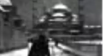 Cornucopia 35 Kitabı