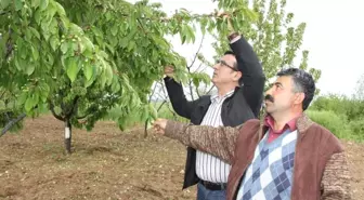 Ani Hava Değişimi Çiftçileri Endişelendiriyor