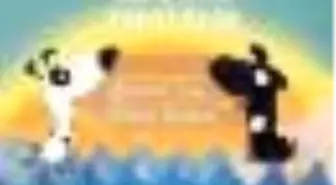 Kar Benek Kara Benek Kitabı