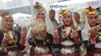 Kuzugöbeği Mantar Festivali Renkli Görüntülerle Başladı