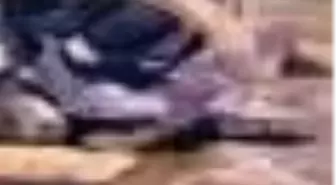 Sıcak Taşlar Kitabı