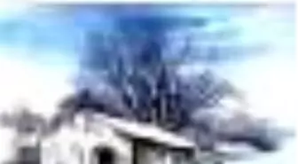 Soğuk Rüya Kitabı