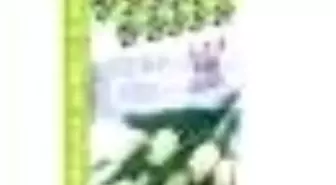 Gönülden Gönüle İlahiler (10 Vcd) Kitabı