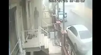 Papağını Bile Çaldılar