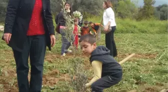 Ödemiş İnönü İlkokulu, Zeytin Fidanlarını Toprakla Buluşturdu