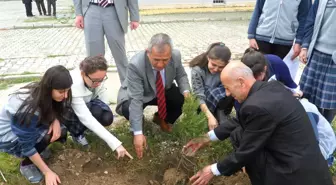 Okul Bahçelerine Fidan Dikildi