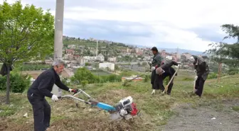 Besni Belediyesi'nden Park ve Bahçe Çalışmaları