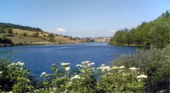 Hidroelektrik Santrali İçin Olumlu Kararı Verildi