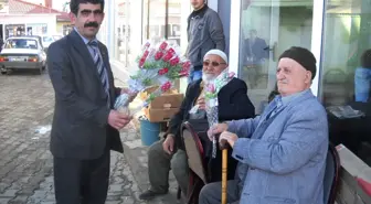 Tercanda Kutlu Doğum Haftası Etkinlikleri