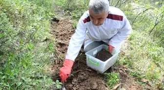 Terminatör Böcekler Görev Başında