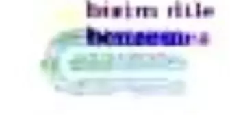 Dilleri Var Bizim Dile Benzemez Kitabı