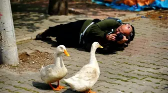 Balıkçı Kadınları Fotoğrafladılar