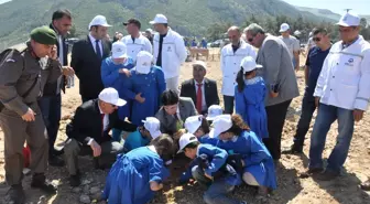 Kömür Üretimi Tamamlanan Alanlar Doğaya Kazandırılıyor