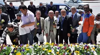 Tosya'da 10 Bin Çiçek 10 Dakikada Bitti