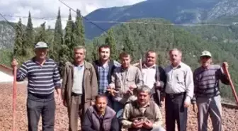 Antalya Bürosu'nun Bölge Haberleri (2)