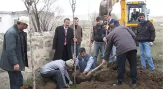 Taşlıçay'da Fidan Dikimi