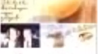 İmza: Karın Kitabı