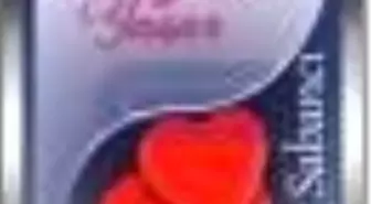 İnsan Sevdiğinde Yaşar Kitabı