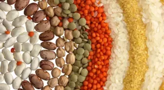 Konya'da Hububatın Gelişimi Beklenen Seviyede