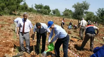 Mezitli'de Ağaçlandırma Çalışması