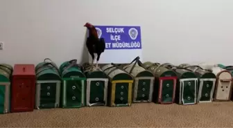 Suç Sende Değil Seni Dövüştürende!