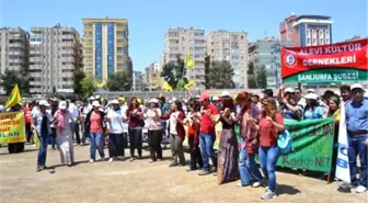 1 Mayıs Şanlıurfa'da Coşkuyla Kutlanıyor