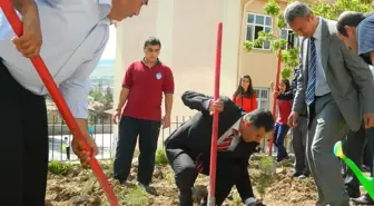 Kırıkkaleli Öğrenciler Fidan Dikti