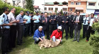 Sapanca Emniyet Müdürlüğü Kurban Kesti