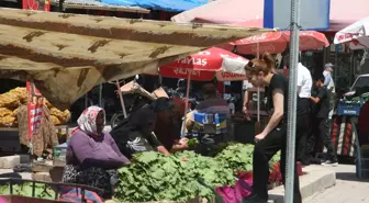Kilis'te Asma Yaprağına Yoğun Talep