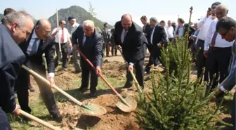 Maden İhracatçıları Türkiye'yi Ağaçlandırıyor