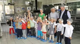 Anaokulu Öğrencileri Yuvacık Su'da