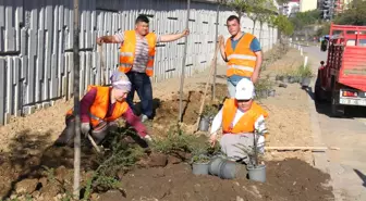 Görele Belediyesi'nden Yollara Yaz Makyajı