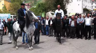 Çimento Fabrikası ve Taş Ocakları Yapılmasın Eylemi