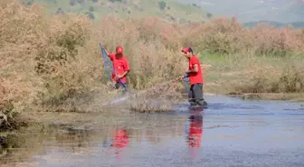 Aliağa'da Sivrisinek İlaçlaması Sürüyor