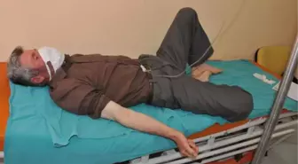 Ensesindeki Keneyi Kendisi Çıkardı