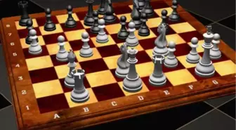 Satranççılar Örgütleniyor