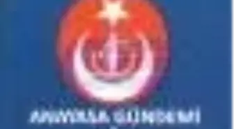 Anayasa Gündemi 2 - Demokrasi Platformu Sayı: 29 Kitabı