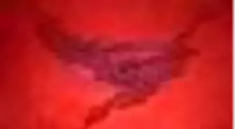 Karabatak Sayı: 1 (Şubat-Mart) Kitabı