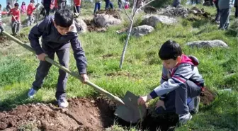 Onlar Doğayı, Fidan Dikerek Öğreniyor