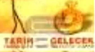 Biyografi Analiz Cilt: 1 Tarih Tarihin İşlevi / Gelecek Geleceğin İnşaası Kitabı