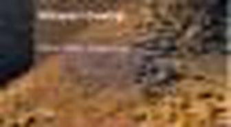 Ca Yo Ke Tij Ti Ra Bena Vila Kitabı
